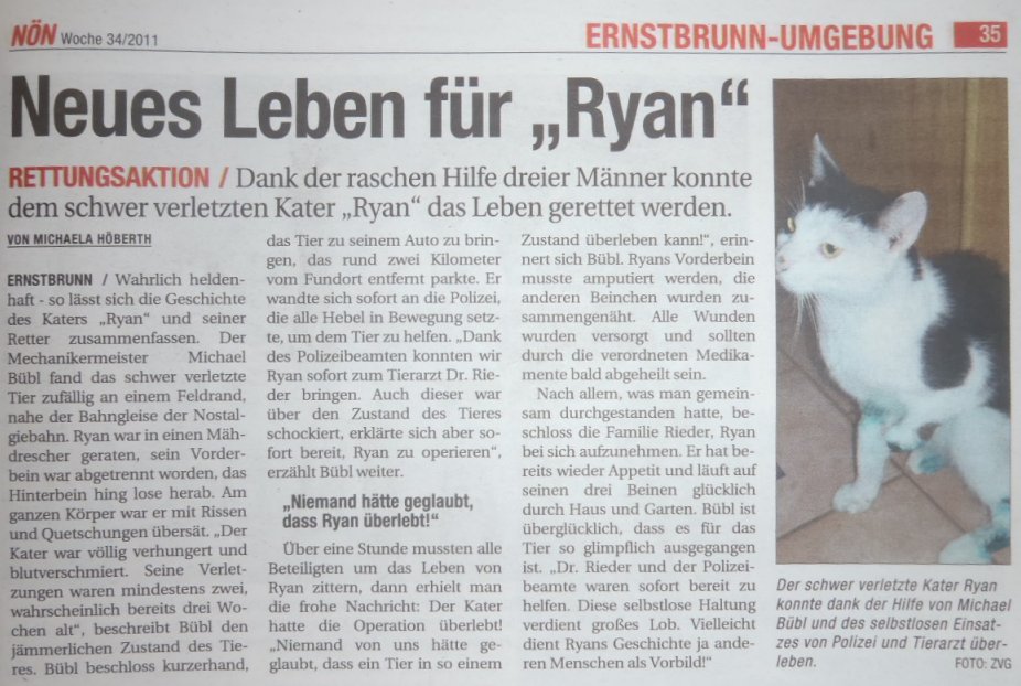 NN, Ryan Der Kater